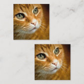 Adorable Ginger Tabby Cat Posing Pet Portrait Mitteilungskarte (Vorne/Hinten)