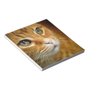 Adorable Ginger Tabby Cat Posing Pet Portrait Notizblock