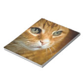 Adorable Ginger Tabby Cat Posing Pet Portrait Notizblock (Rotiert)
