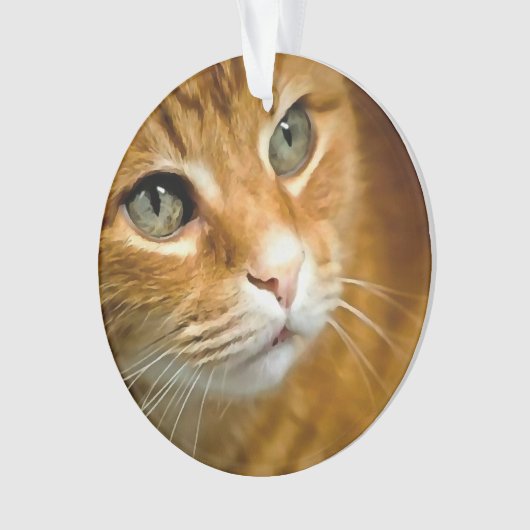 Adorable Ginger Tabby Cat Posing Pet Portrait Ornament (Vorderseite)