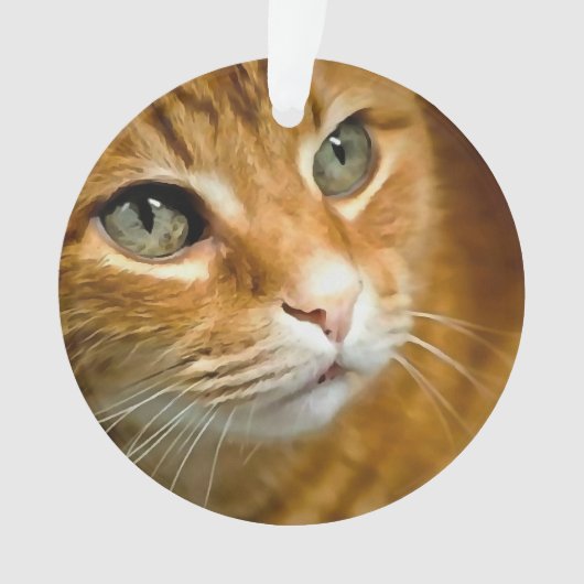 Adorable Ginger Tabby Cat Posing Pet Portrait Ornament (Vorderseite)