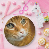 Adorable Ginger Tabby Cat Posing Pet Portrait Pappteller (Party)