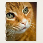 Adorable Ginger Tabby Cat Posing Pet Portrait Planer (Vorderseite)
