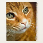 Adorable Ginger Tabby Cat Posing Pet Portrait Planer (Rückseite)