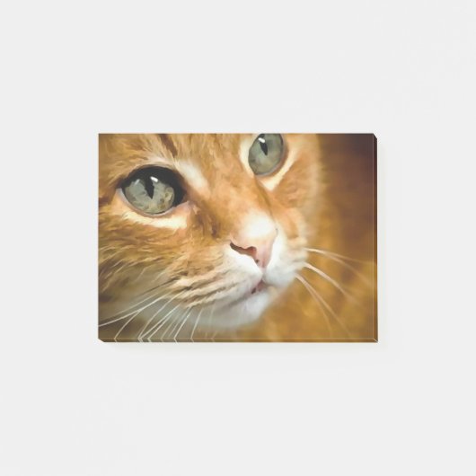 Adorable Ginger Tabby Cat Posing Pet Portrait Post-it Klebezettel (Vorderseite)