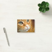 Adorable Ginger Tabby Cat Posing Pet Portrait Post-it Klebezettel (Büro)