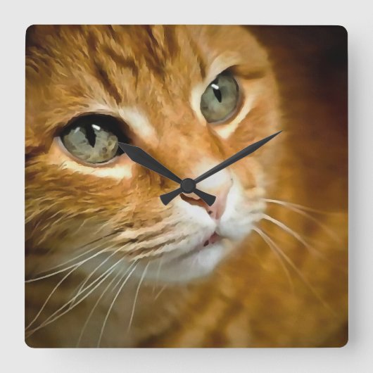 Adorable Ginger Tabby Cat Posing Pet Portrait Quadratische Wanduhr (Vorderseite)