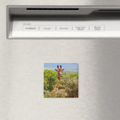 Adorable Giraffe, die seinen Kopf über den Bäumen  Magnet (In Situ (Geschirrspüler))