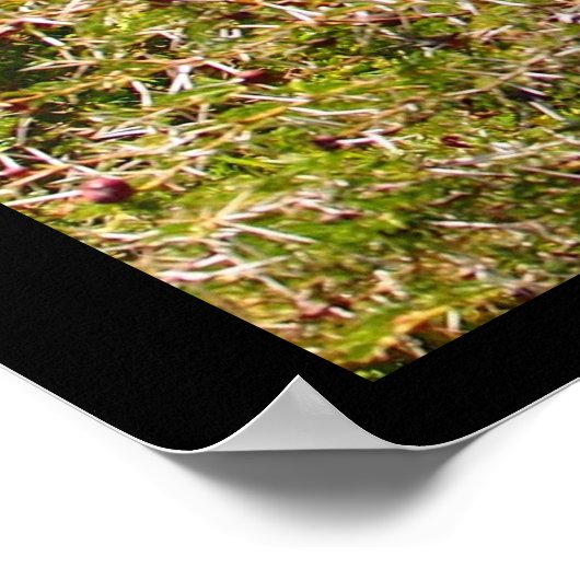 Adorable Giraffe, die seinen Kopf über den Bäumen  Poster (Ecke)