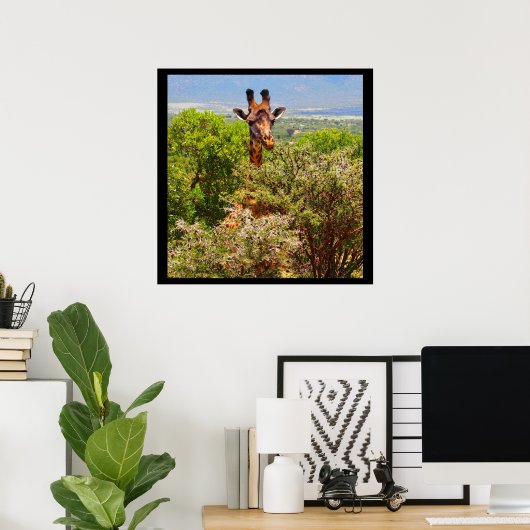 Adorable Giraffe, die seinen Kopf über den Bäumen  Poster (Heimbüro)