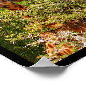 Adorable Giraffe, die seinen Kopf über den Bäumen Poster (Ecke)