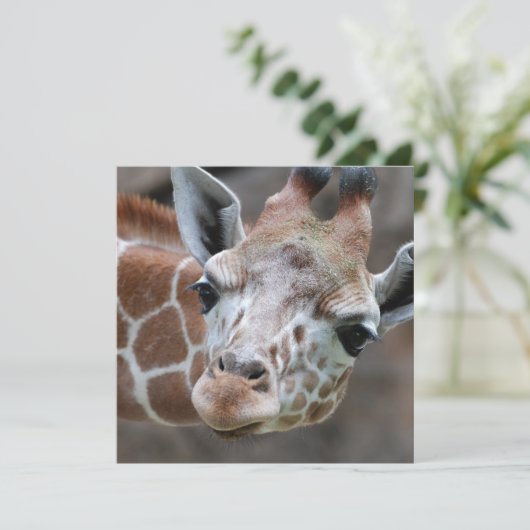 Adorable Giraffe Einladungen (Stehend Vorderseite)