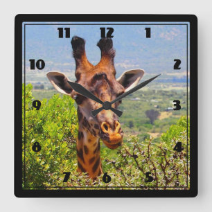 Adorable Giraffe Poking His Head Above The Trees Quadratische Wanduhr