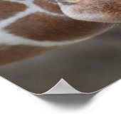 Adorable Giraffe Poster (Ecke)