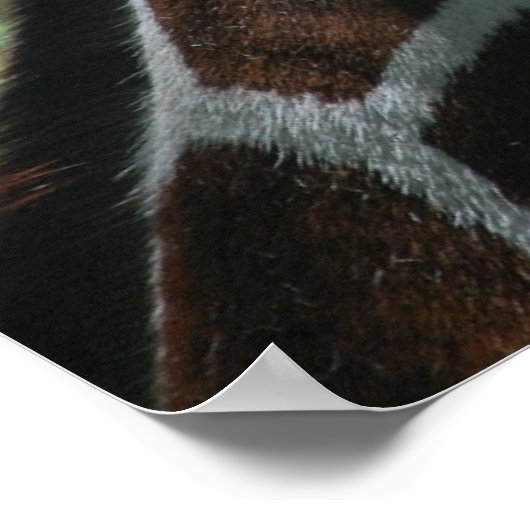 Adorable Giraffe Poster (Ecke)