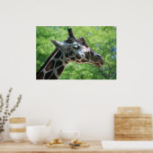 Adorable Giraffe Poster (Küche)