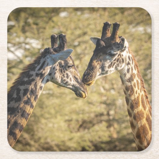 Adorable Giraffen Untersetzer (Vorderseite)