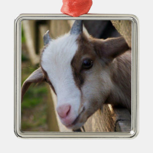 *ADORABLE GOAT FOR CHRISTMAS* ORNAMENT AUS METALL