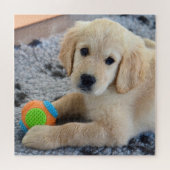 Adorable Golden Retriever Puppy Puzzle (Horizontal)
