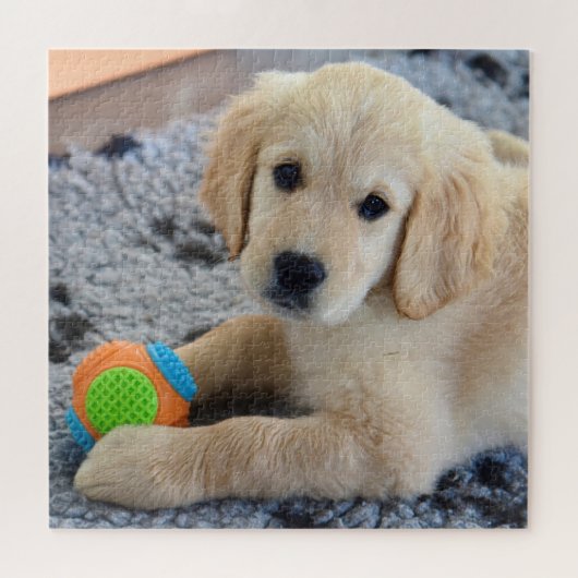 Adorable Golden Retriever Puppy Puzzle (Horizontal)