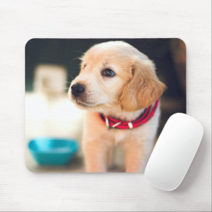 Adorable Golden Retriver Puppy Mousepad
