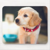 Adorable Golden Retriver Puppy Mousepad (Vorne)