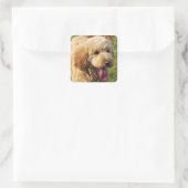 Adorable Goldendoodle Dog Quadratischer Aufkleber (Tasche)