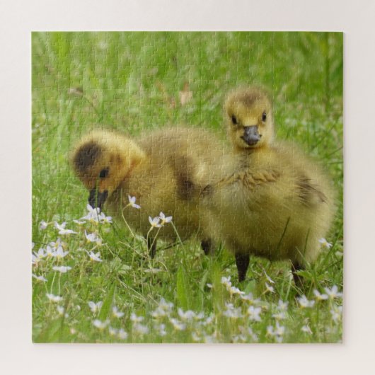 Adorable Goose Babies - Goslings Puzzle (Vertikal)