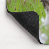Adorable Grau Eichhörnchen Mousepad (Ecke)