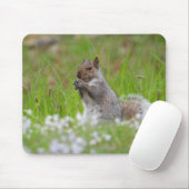 Adorable Grau Eichhörnchen Mousepad (Mit Mouse)