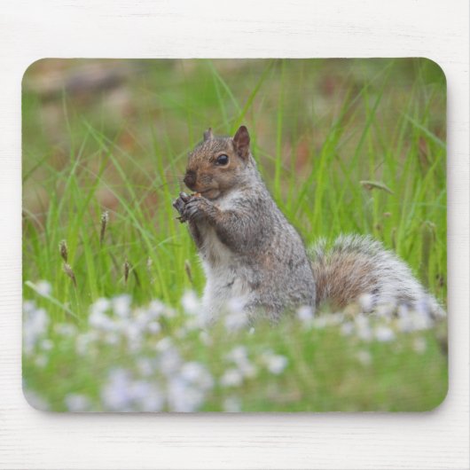 Adorable Grau Eichhörnchen Mousepad (Vorne)