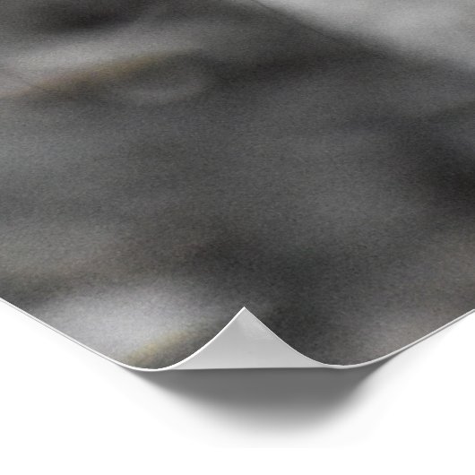 Adorable Grau Eichhörnchen Poster (Ecke)