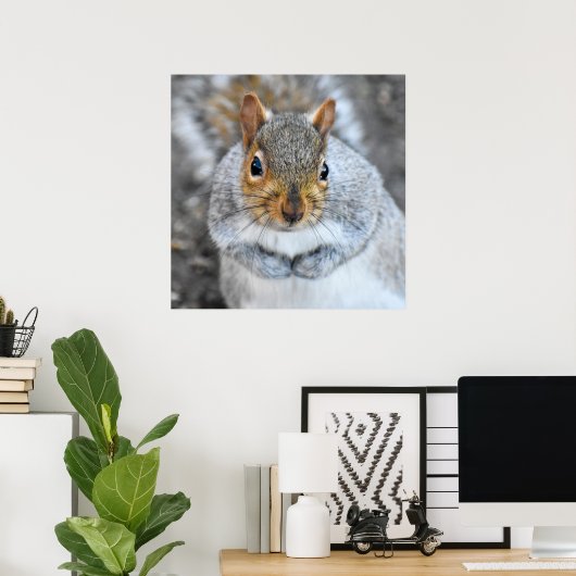 Adorable Grau Eichhörnchen Poster (Heimbüro)