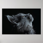 Adorable Grau Kitten mit grünen Augen Poster (Vorne)
