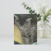 Adorable Gray Sleepy Tabby Kitty Postkarte (Stehend Vorderseite)