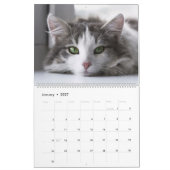 Adorable Gray Tabbies 2022 Kalender (Jan 2027)