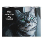 Adorable Gray Tabbies 2022 Kalender (Titelbild)