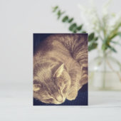 adorable grey tabby cat sleeping postkarte (Stehend Vorderseite)