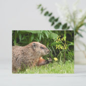 Adorable Groundhog Pflücken Blume WERDEN GUT (Stehend Vorderseite)