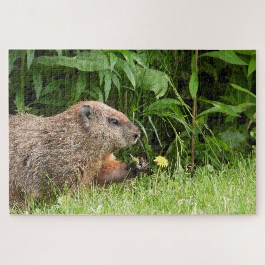 Adorable Groundhog Picking Blume Jigsaw Puzzle (Horizontal)