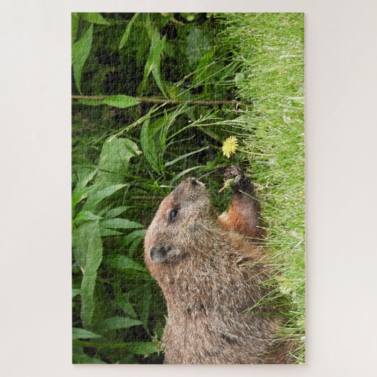 Adorable Groundhog Picking Blume Jigsaw Puzzle (Vertikal)
