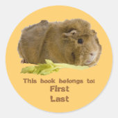Adorable Guinea Pig Eating Celery Fotografie Runder Aufkleber (Vorderseite)