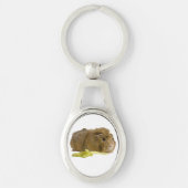 Adorable Guinea Pig Eating Celery Fotografie Schlüsselanhänger (Vorderseite)