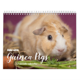 Adorable Guinea Schweine 2026 Kalender