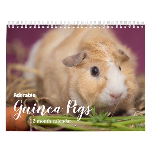 Adorable Guinea Schweine 2026 Kalender (Titelbild)