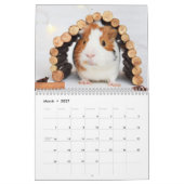 Adorable Guinea Schweine 2026 Kalender (Mär 2027)