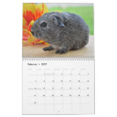Adorable Guinea Schweine 2026 Kalender (Feb 2027)