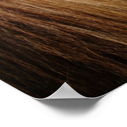 Adorable Haflinger Foal Poster (Ecke)