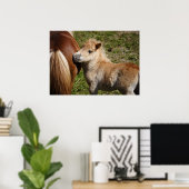 Adorable Haflinger Foal Poster (Heimbüro)