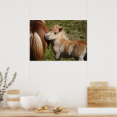Adorable Haflinger Foal Poster (Küche)